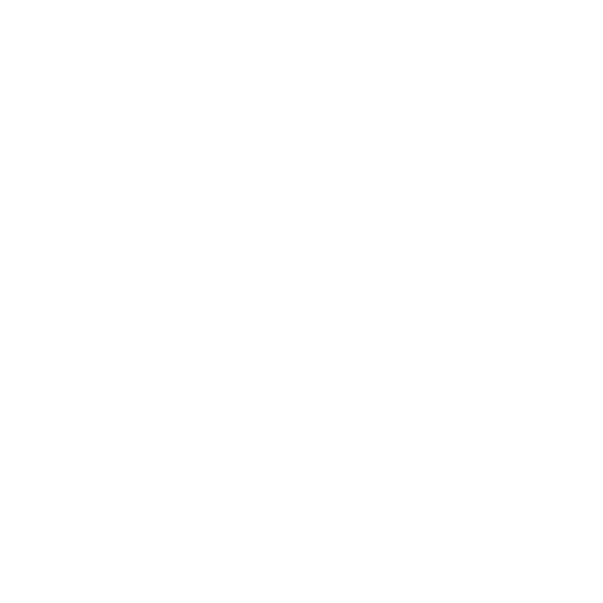 Fin